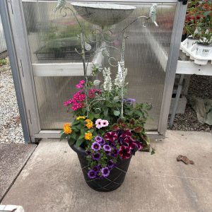 16in Specialty Planter Bird Bath